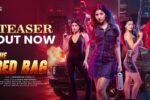 The Red Bag (2026) Visual Spectacle and VFX Review